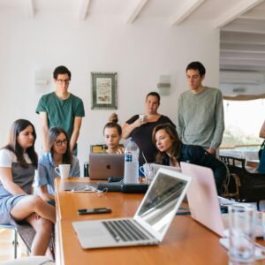 Project Management Professional